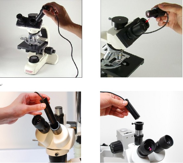 201162184555565.jpg 201162184555565.jpg