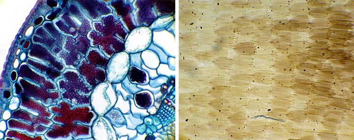 AM4025X-img6.jpg AM4025X-img6.jpg