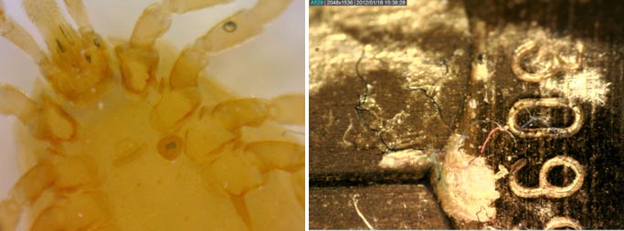 AM7013MZT4-img2.jpg AM7013MZT4-img2.jpg